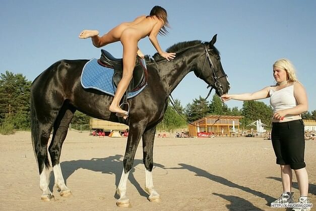 Ride on horseback - nudism blog