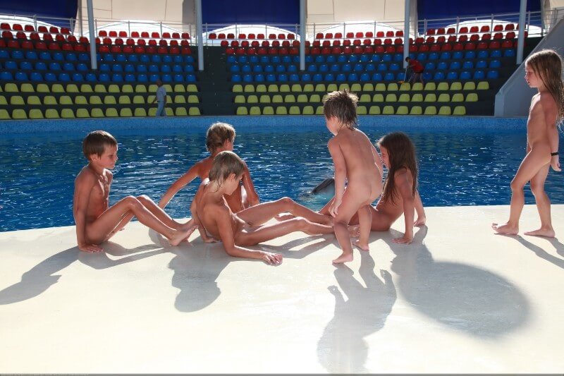 Swimming dolphins photo gallery - nudism blog