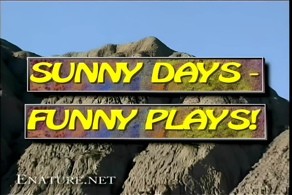 Enature - Sunny Days – Funny Plays - nudism blog