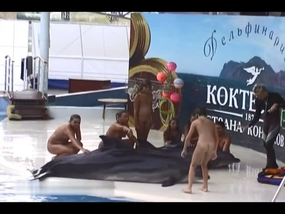 Relaxing at the dolphinarium - nudism blog