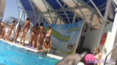 Amazing Dolphin Encounter HD video - nudism blog