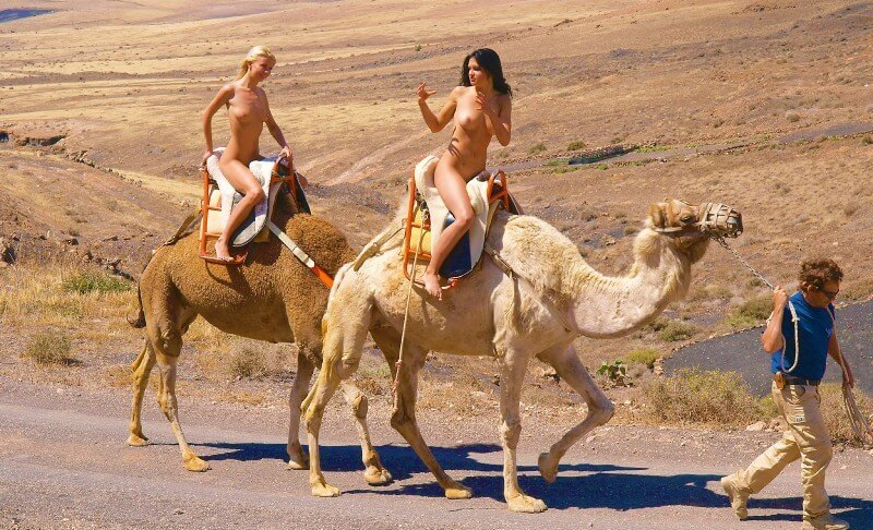 Funny Moments Life pics - nudism blog