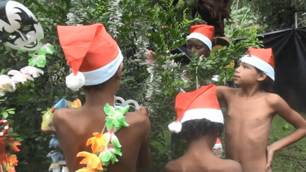 Brazil Festival Celebrations 1 Full HD - nudism blog